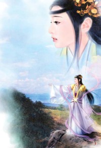 保护我方弱鸡路痴夫人