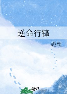 《逆命行锋》
