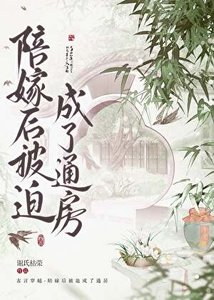 陪嫁后被迫成了通房