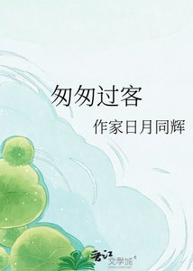 《匆匆过客》